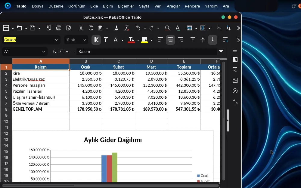 Tablo uygulamasında aylık gider tablosu ve grafiği